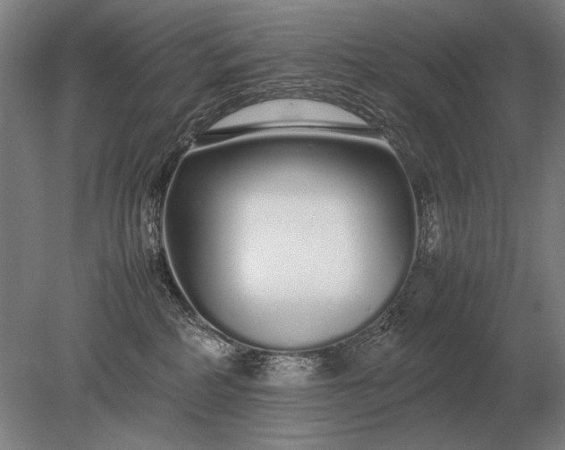 X0000079300234200612011758