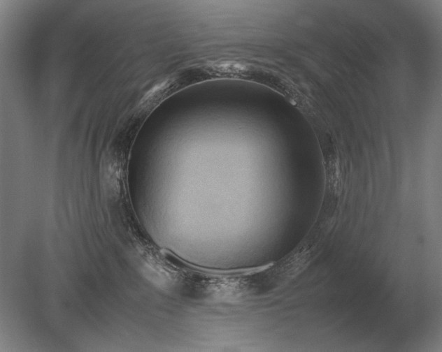 X0000079300235200612011758