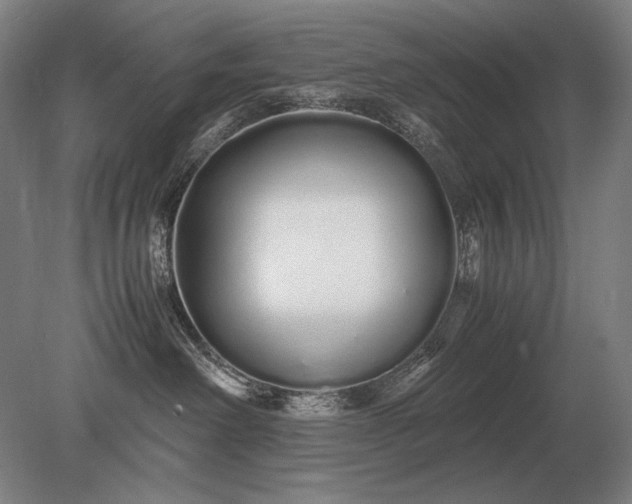 X0000079300238200612011758
