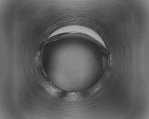 X0000079300239200612011758