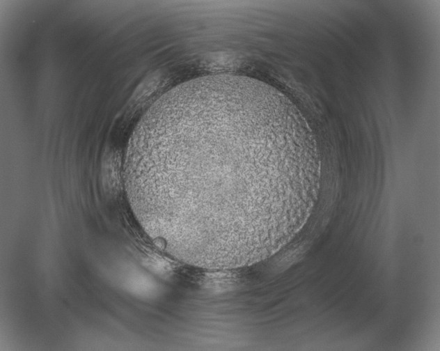 X0000079300240200612011758