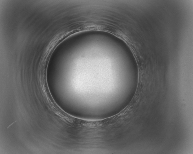 X0000079300241200612011757