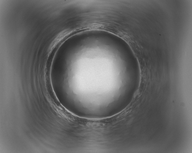 X0000079300242200612011757