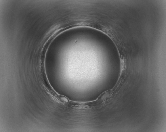 X0000079300243200612011757
