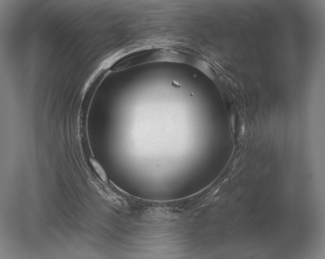X0000079300244200612011757