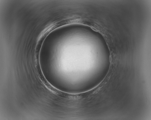 X0000079300245200612011757
