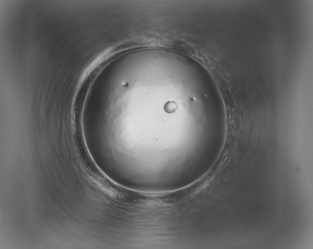 X0000079300246200612011757