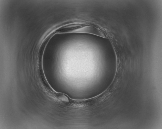X0000079300247200612011757