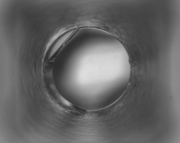 X0000079300248200612011757