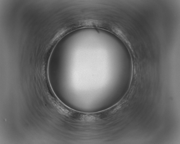 X0000079300249200612011757