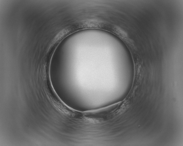 X0000079300250200612011757