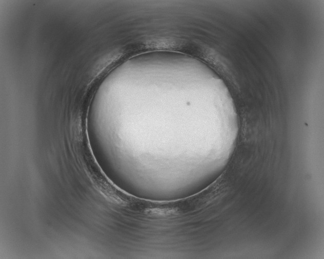X0000079300251200612011757