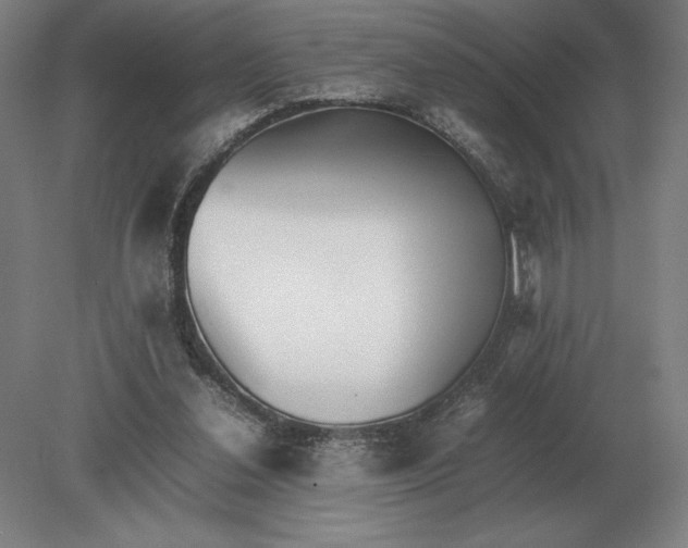 X0000079300252200612011757