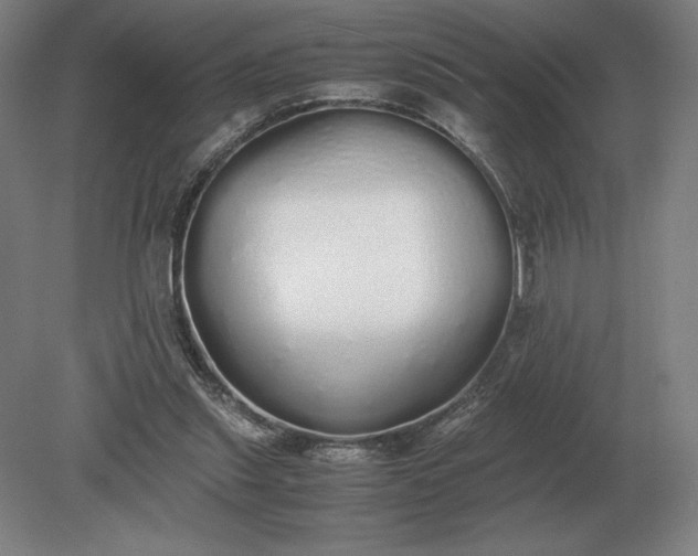 X0000079300253200612011757