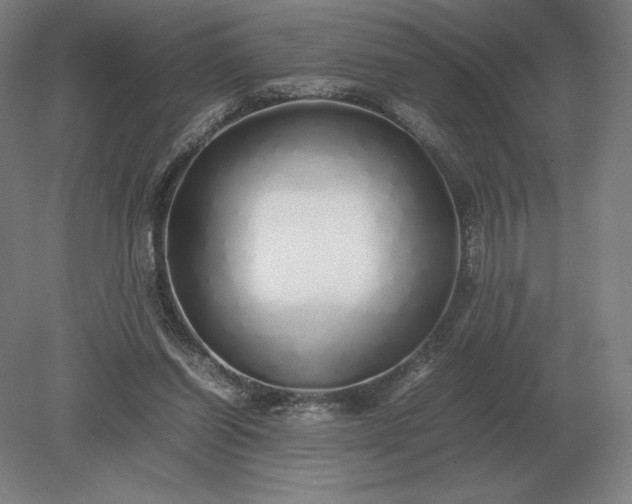 X0000079300254200612011757