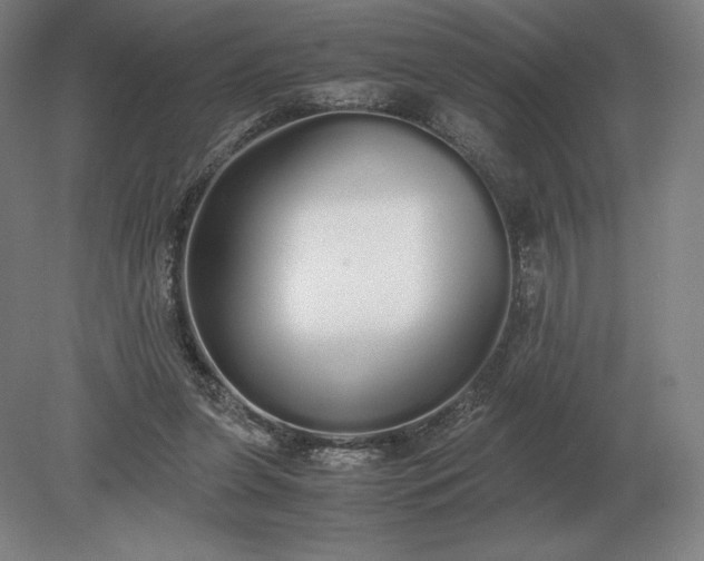 X0000079300255200612011757