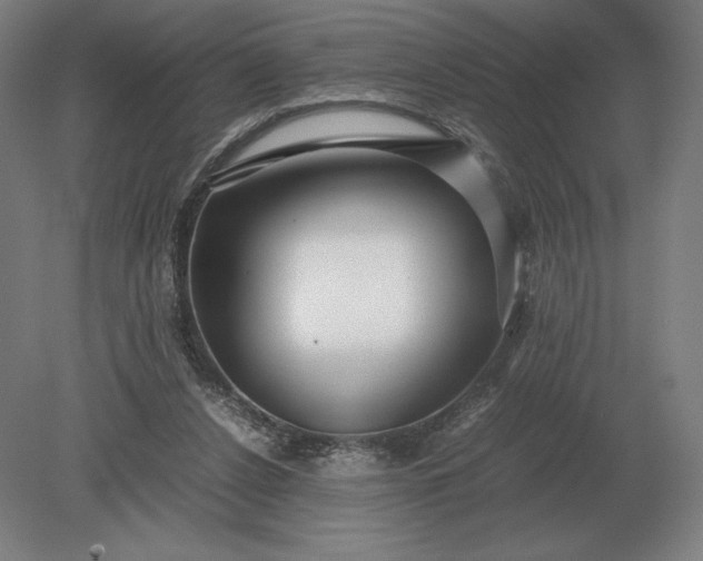 X0000079300256200612011757