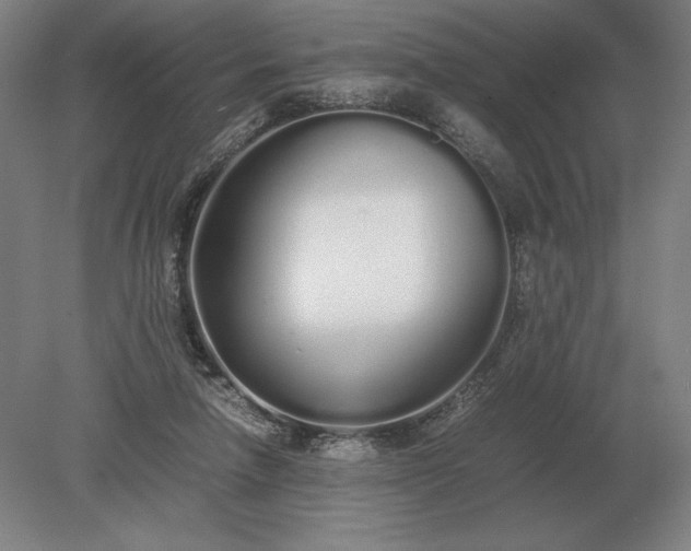 X0000079300258200612011757