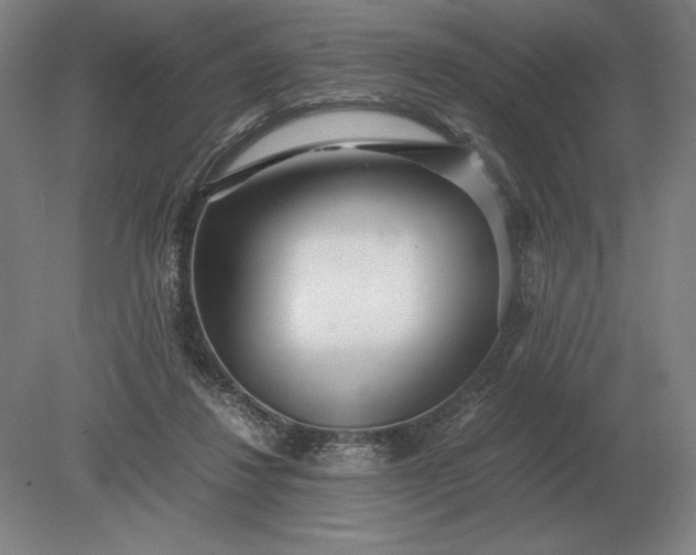 X0000079300260200612011757