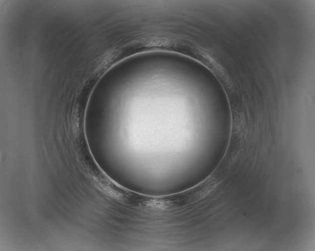 X0000079300261200612011757