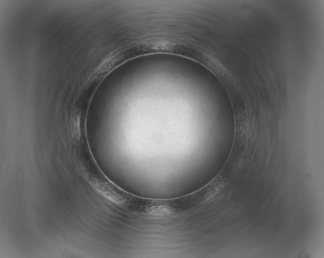X0000079300262200612011757