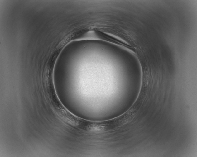 X0000079300263200612011757