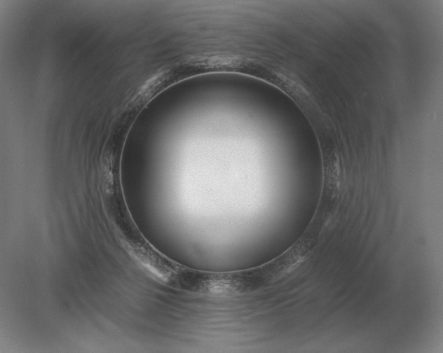 X0000079300264200612011757