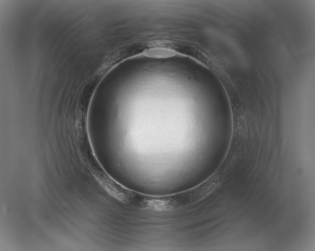 X0000079300265200612011757