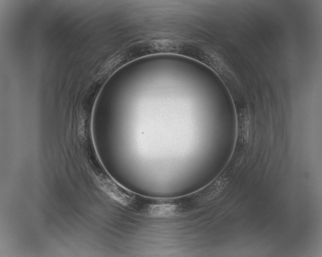 X0000079300266200612011757