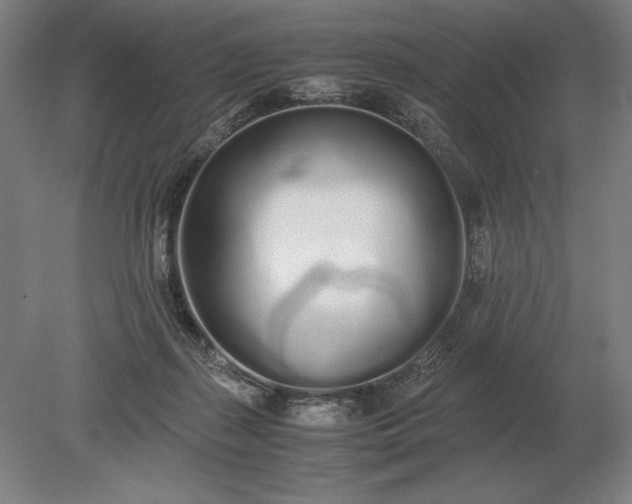 X0000079300267200612011757