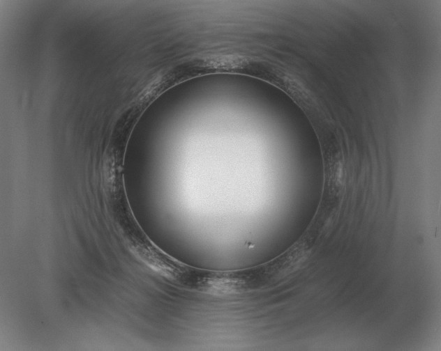 X0000079300268200612011757