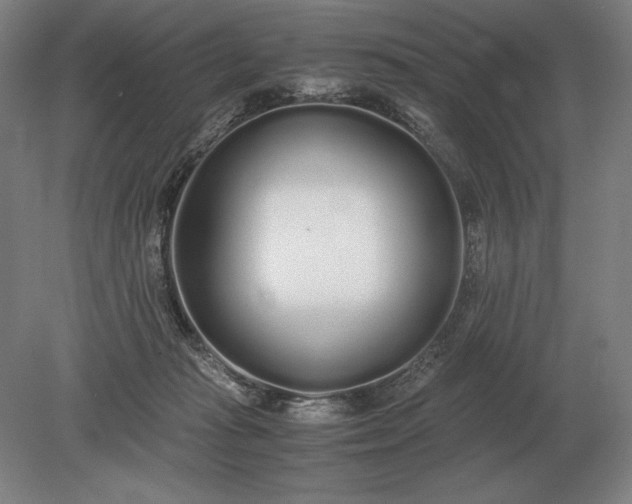 X0000079300269200612011757