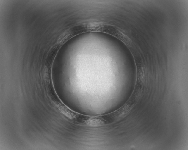 X0000079300270200612011757