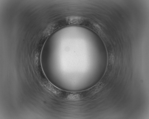 X0000079300271200612011757