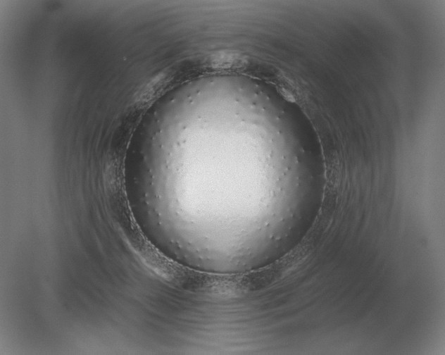 X0000079300272200612011757