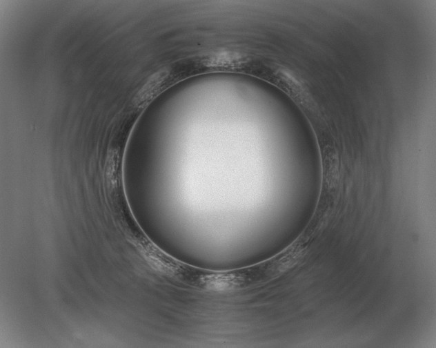 X0000079300273200612011757