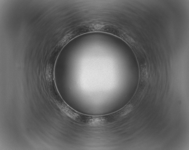 X0000079300274200612011757