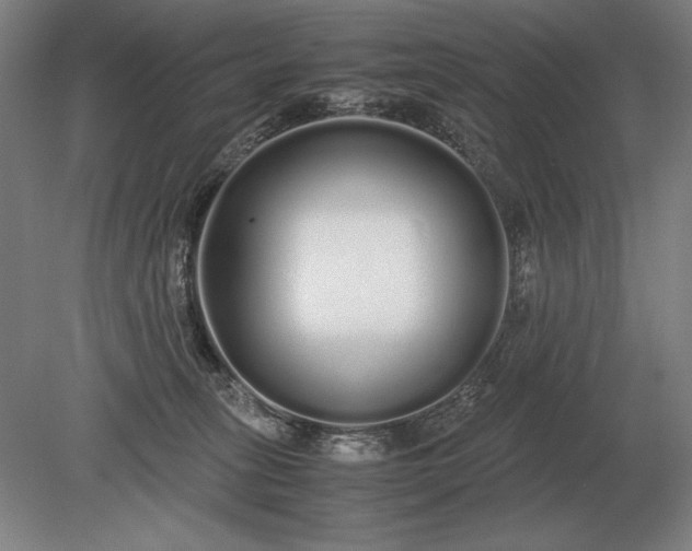 X0000079300275200612011757