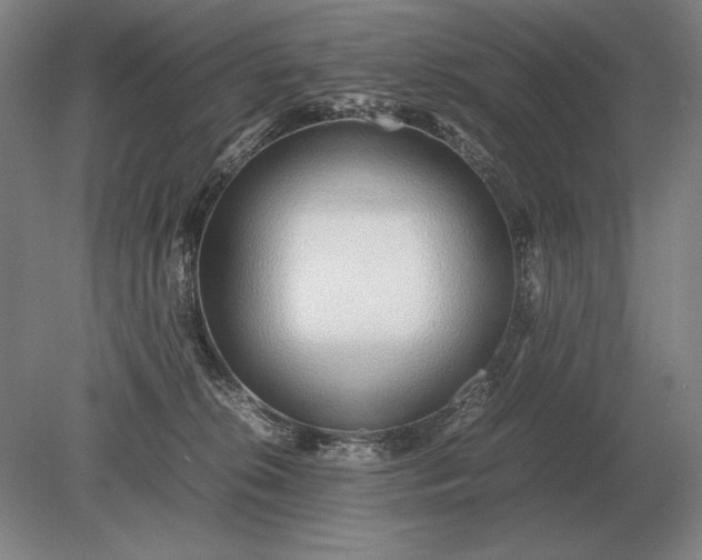 X0000079300276200612011757