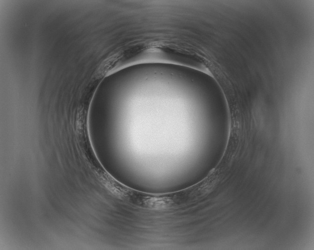 X0000079300277200612011757
