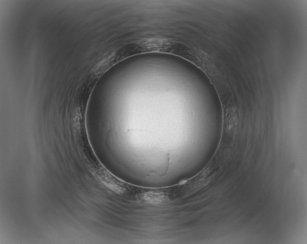 X0000079300279200612011757