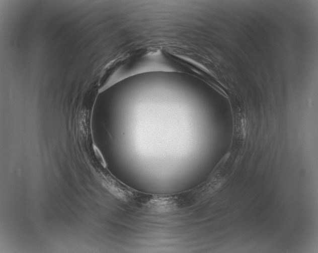 X0000079300280200612011757