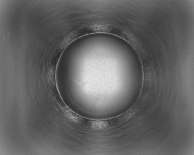 X0000079300281200612011757