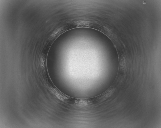 X0000079300282200612011757