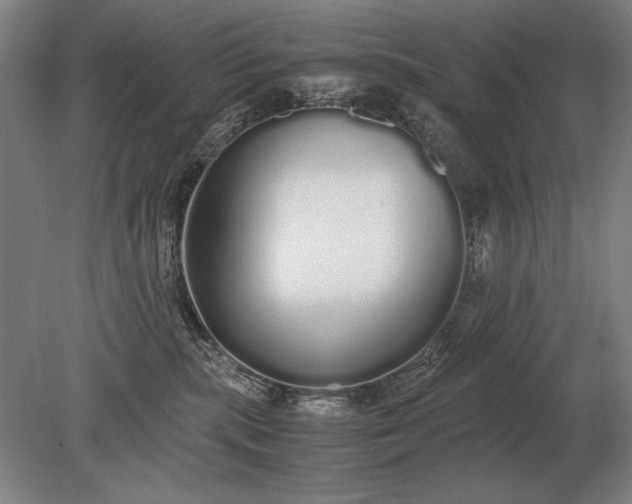 X0000079300283200612011757