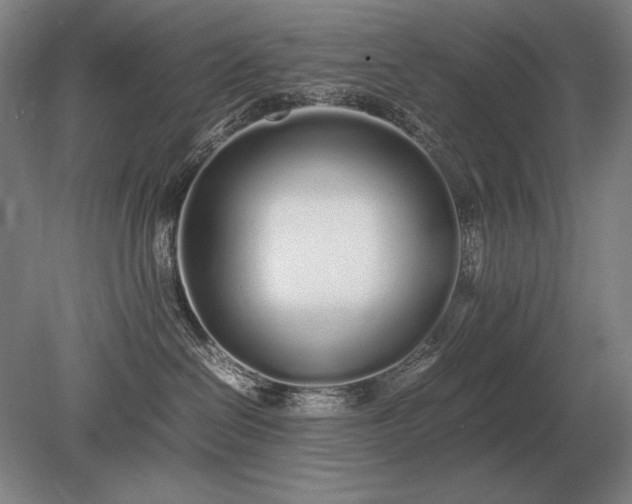X0000079300286200612011758