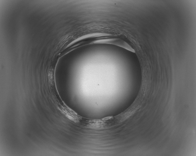 X0000079300288200612011758