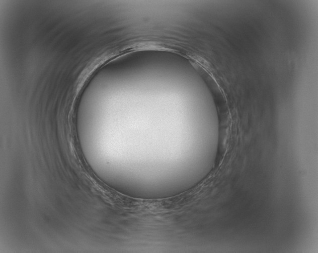 X0000079300289200612011757