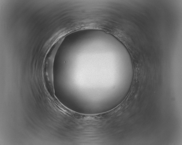 X0000079300290200612011757