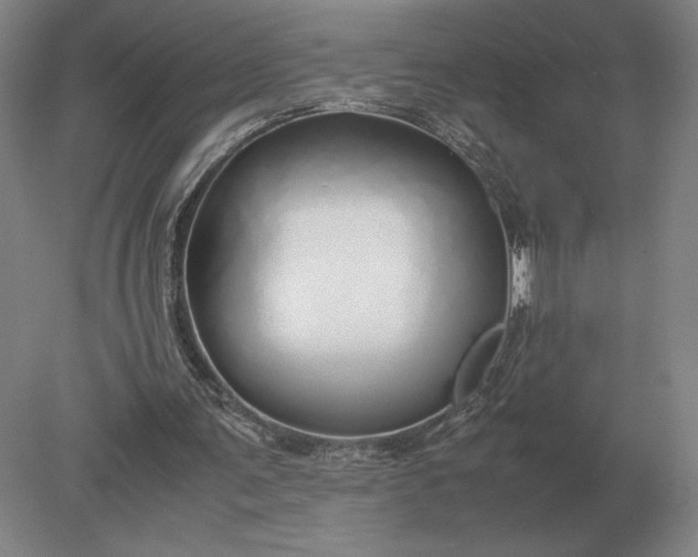 X0000079300291200612011757